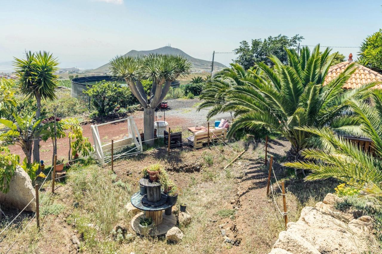 Apartamento B Armonia Rural Granadilla De Abona Exteriér fotografie
